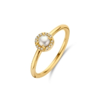 Billede af Spirit Icons Euphoria ring forgyldt sølv m. fvp + cz (str. 52)