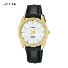 Billede af Lorus Classic dameur stål gulddoublé solar 10 bar 31mm