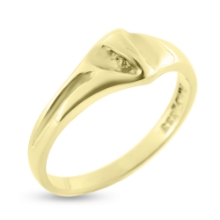 Billede af Ring "Nature" 14 karat guld