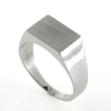 Billede af Herrering plade 9*13mm. lukket bund Hvidguld