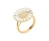 Billede af Lund Copenhagen Marguerit ring 18 mm forgyldt sølv (str. 49-62)
