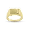 Billede af Herrering m. lukket bund m. plade 9*13mm m. råguld
