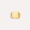 Billede af IX Studios Octagon Signet ring sølv forgyldt (str 48-66)