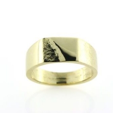 Billede af Ring m. plade 14 kt. facon + 6,9 gr. (prisen er excl. guld)