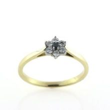 Billede af Ring roset, 7* brill. 1 sort 0,03 +6*0,02 w/vs. 14 kt. 