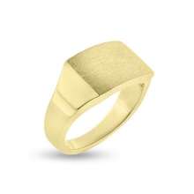 Billede af Herrering massiv lukket bund, plade 11,5*16,5 mm., 14 kt.