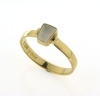 Billede af Tandring 1 tand (incl. ny ring) 14 kt