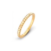 Billede af Spirit Icons Peak ring forgyldt sølv str. 52