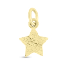 Billede af Vedhæng stjerne 14 kt. facon 6,3 gr (prisen er excl. guld)
