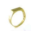 Billede af Ring med plade guld, Priser fra
