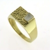 Billede af Tand ring 8 kt. fac. 6,1 gr (prisen er excl. guld)