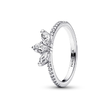 Billede af Pandora ring - Sparkling Herbarium Cluster - str. 56