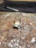 Billede af Ring fattet med oval ametyst 14 kt.