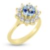 Billede af Rosetring akvamarin og 10 brillanter a 0,08 w/vs. 14 kt. guld