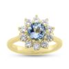 Billede af Rosetring akvamarin og 10 brillanter a 0,08 w/vs. 14 kt. guld
