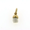 Billede af Tand vedh. (mælketand)14 kt. fac. 0,8 gr. (prisen er excl. guld)