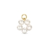 Billede af Spirit Icons Coco Drop Pearl vedhæng til hoops 14 karat guld m. fvp