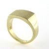 Billede af Herrering plade 11,5*16,5 mm.