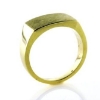 Billede af Herrering plade 11,5*16,5 mm.
