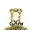 Billede af Treuga Dei gilde, GXM, Ex. Mester emblem, Loge 36 (prøve, kan ikke købes)