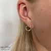 Billede af Aqua Dulce Barbara øreringe forgyldt sølv m. cz