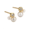 Billede af Aqua Dulce Pretty Pearl Petit øreringe forgyldt sølv m. fvp
