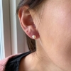 Billede af Aqua Dulce Pearl øreringe sølv m. fvp