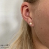 Billede af Aqua Dulce Pearl øreringe forgyldt sølv m. fvp