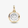 Billede af Pandora Bi Medaljon charm sølv + forgyldt metalblanding m. cz