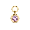 Billede af Spirit Icons Amethyst Drop vedhæng til hoops 14 karat guld med ametyst (1 stk)
