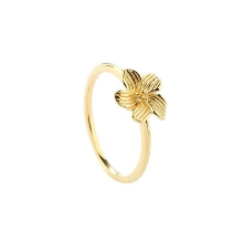Billede af Aqua Dulce Jasmin ring forgyldt sølv (str. 62)