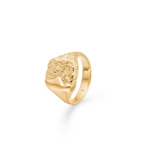 Billede af Studio Z "Edge" ring forgyldt sølv (str. 52)