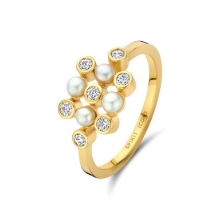 Billede af Spirit Icons Alison ring forgyldt sølv m. fvp + cz (str. 54)