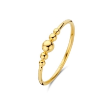 Billede af Spirit Icons "Carla" ring 14 karat guld (str. 56)