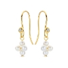 Billede af Spirit Icons Rosalie øreringe 14 karat guld m. 0,04 ct. w/vs + fvp