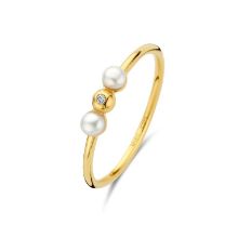 Billede af Spirit Icons Ophelia ring 14 karat guld m. 0,01 ct. w/vs + fvp (str. 52) Billede af Spirit Icons Ophelia ring 14 karat guld m. 0,01 ct. w/vs + fvp (str. 52)