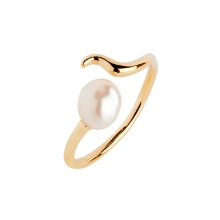 Billede af Maria Black 'Moonshine' ring forgyldt sølv (str. 48)