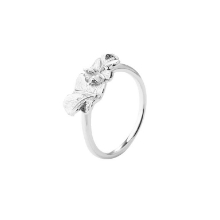 Billede af Aqua Dulce Folio ring sølv (str. 60)