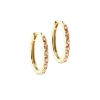 Billede af Aqua Dulce Champella Hoop Large øreringe forgyldt sølv m. cz (20 mm)