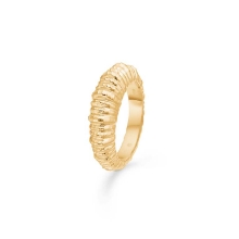 Billede af Studio Z "Seashell Secrets" ring forgyldt sølv (str. 60)