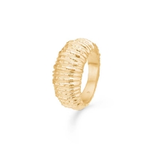 Billede af Studio Z "Seashell Secrets" ring forgyldt sølv (str. 60)