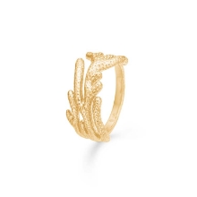 Billede af Studio Z "Reef Essence" ring forgyldt sølv (str. 60)